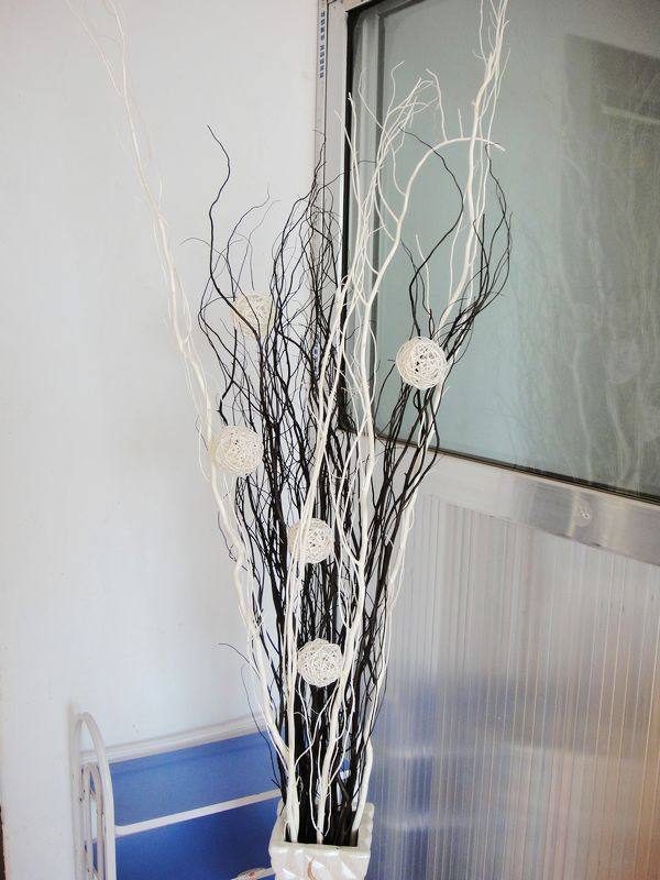 ���ϸ�֦�ɻ�hy-005