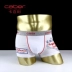 Đồ lót cặp đôi Caber / Calbury Quần đùi nam nữ tam giác Mát mẻ mát mẻ đơn giản phương thức cotton trẻ trung cổ điển đồ lót ibasic Cặp đôi