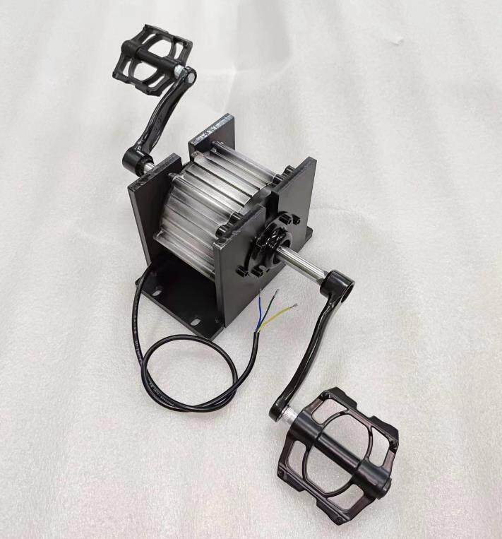 Pedalling Generator Outdoor 12V 5V Can mobile phone charging stampede power generation device light music-Taobao