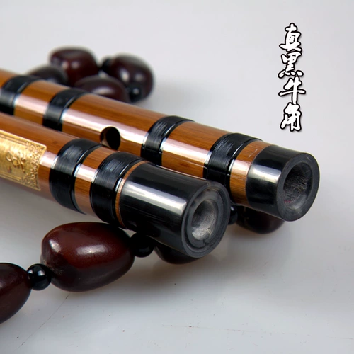 铁心迪 [正品/包邮笛子乐器演奏/精制专业双插竹笛/五只装套笛送包]