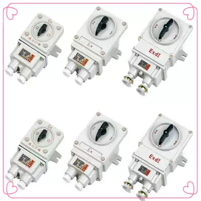 Explosion-proof transfer switch BHZ51-10 3 three-phase switch 10A380V BHZ51-25 3 motor control switch