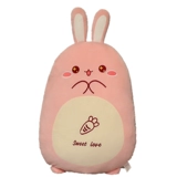 Плюшевый кролик, милая игрушка, кукла, талисман для сна, съёмная подушка, год кролика, талисман года