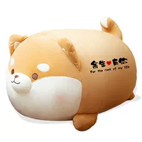 Жирный сиба-ину — ты будешь принадлежать мне до конца жизни.