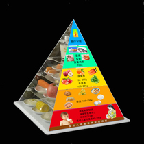 New Edition of Chinese Infant Balanced Diet Nutrition Pagoda Pyramid Healthy Diet Guidance Simulation Food Model