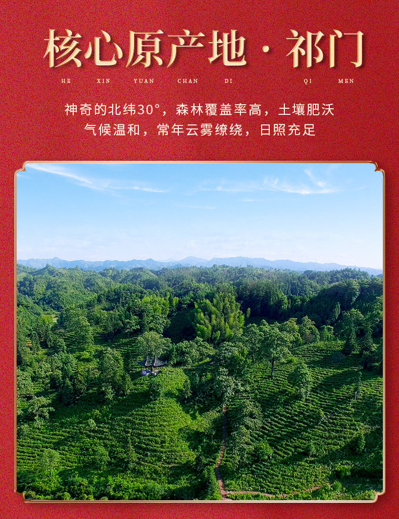 天之红 祁门红茶 浓香型蜜香红茶 50g 图2