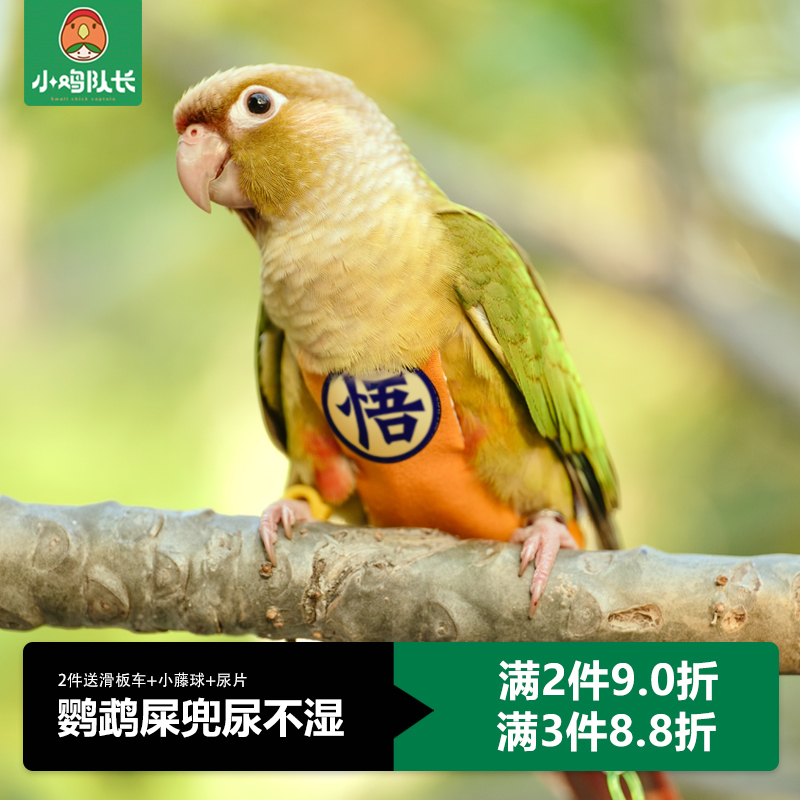 Parrot Diaper, Three-Dimensional Style, Fixed Shoulder Straps, Adjustable, Large Capacity Poop Bag, Diaper Clothes for Cockatiels, Lovebirds, and Budgerigars
