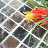 Глубокая свиная мозаичная плитка для ванной комнаты ванная комната кухня Барбатея Рыбной прунд пруд против стекла цветочного пруда Фоновая стена