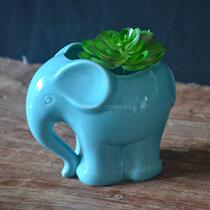 Foreign trade original single ceramic fleshy flowerpot cute elephant desktop flower potted decorative vase flower insert two pieces