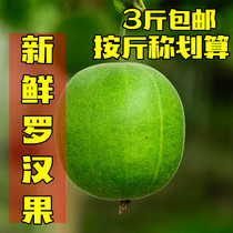 Fresh Luo Han Guo fruit Zhong Da Fruit Guangxi Guilin specialty specialty Yongfu Luo Han Guo tea water