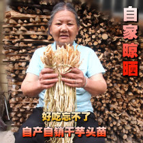 Guangxi farmers produce bulk dehydrated vegetables dried white taro seedlings dried taro seedlings dried stems 250g 500g