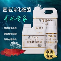 Nino living living nitrifying bacteria fish tank water stabilizer arowana super probiotic aquarium yogurt