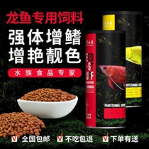 Three small fish dragon fish feed red dragon fish Golden Dragon Fish Fish fish food