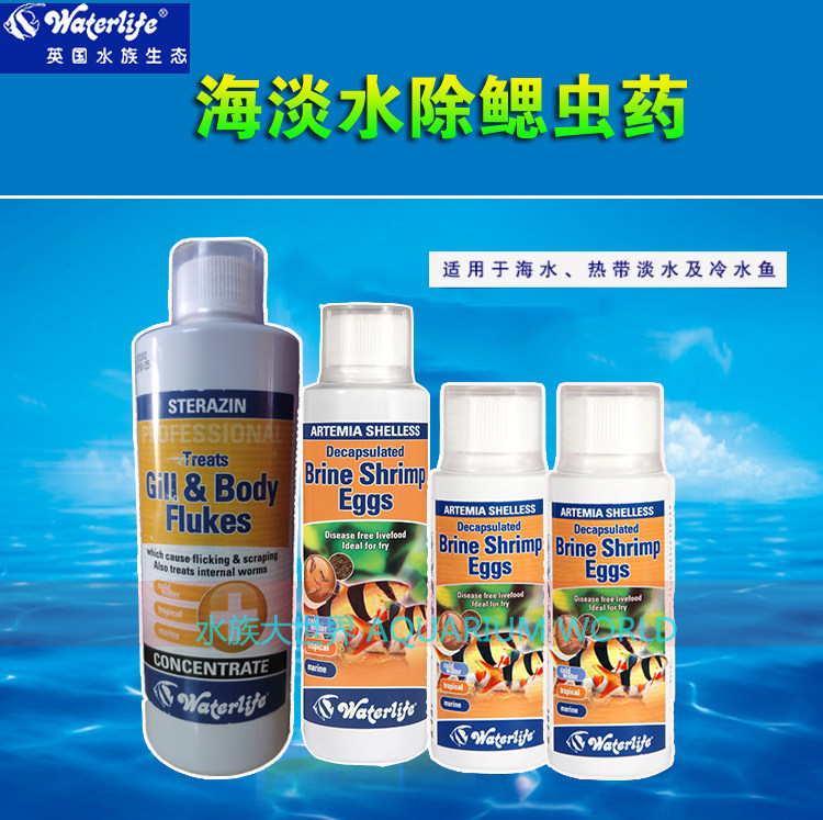 Waterlife Diamond Drug Dragon Coal Worm Dragon Sea Freshwater Outside the Dragon Film