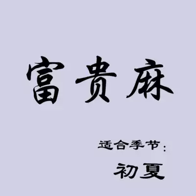 Jianlong Tai Chi clothes Practice clothes Casual clothes Rich hemp