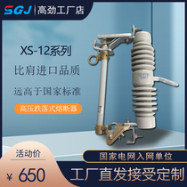 Shi Enxi outdoor high voltage drop fuse XS-12 100 gram switch 10KV fuse FSC-1