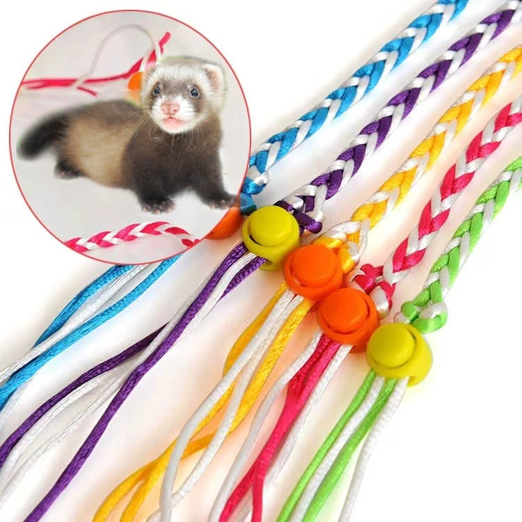 Pet mink Anglu Feret Feret Red Handicap Golden Golden Screw Bear Dutch Pig Rabbit