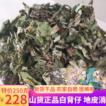Chaoshan wild white back soil skin Chinese herbal medicine White back grass stay up late deep mountain medicinal material 250g