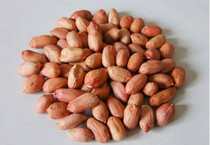 2021 instant Jiangsu red clothes Ganyu Ganyu farmers self-produced and sold new peanut rice without broken grain 250g five Jin