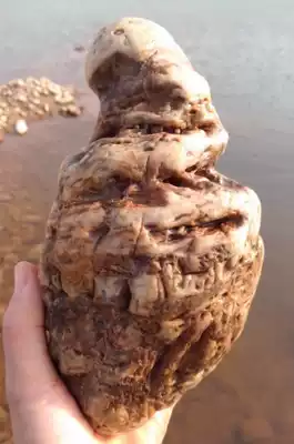 Huluoyu pictographic stone stone beautiful stone fine stone Yellow River Stone natural strange stone collection stone sightseeing stone rough stone