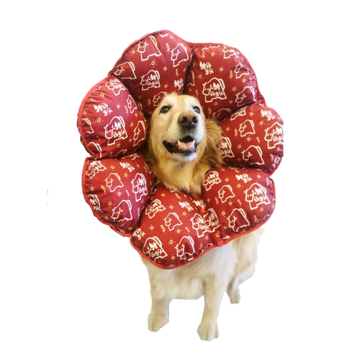 Мягкий клейкий и клейкий Элизабет Круг Новый Продукт Золотой ретривер Тедди Круг Круга против списания анти -подчеркивающих животных продуктов