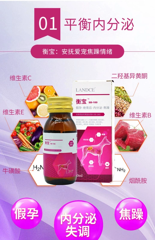 Lantes Hengbao vật nuôi chó mèo và mèo giả mang thai mất cân bằng nội tiết quy định sau khi sinh cơ thể chó mèo - Cat / Dog Health bổ sung