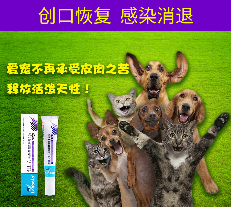 Rumote tạo ra vi khuẩn viêm ngón chân viêm vết thương viêm da viêm nang lông chó mèo - Cat / Dog Medical Supplies Dụng cụ phẫu thuật thú y