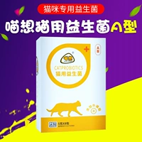 想 Probiotic Một con mèo đặc biệt điều hòa tiêu hóa Mèo đặc biệt mèo con mèo muốn mèo ăn men vi sinh - Cat / Dog Health bổ sung sữa dành cho chó con