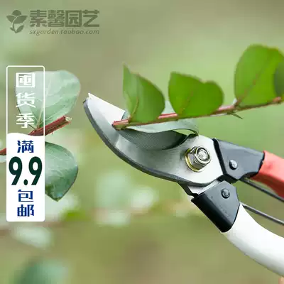Saxin gardening garden scissors flower and wood pruning tools rose pruning scissors sharp high carbon steel flower scissors