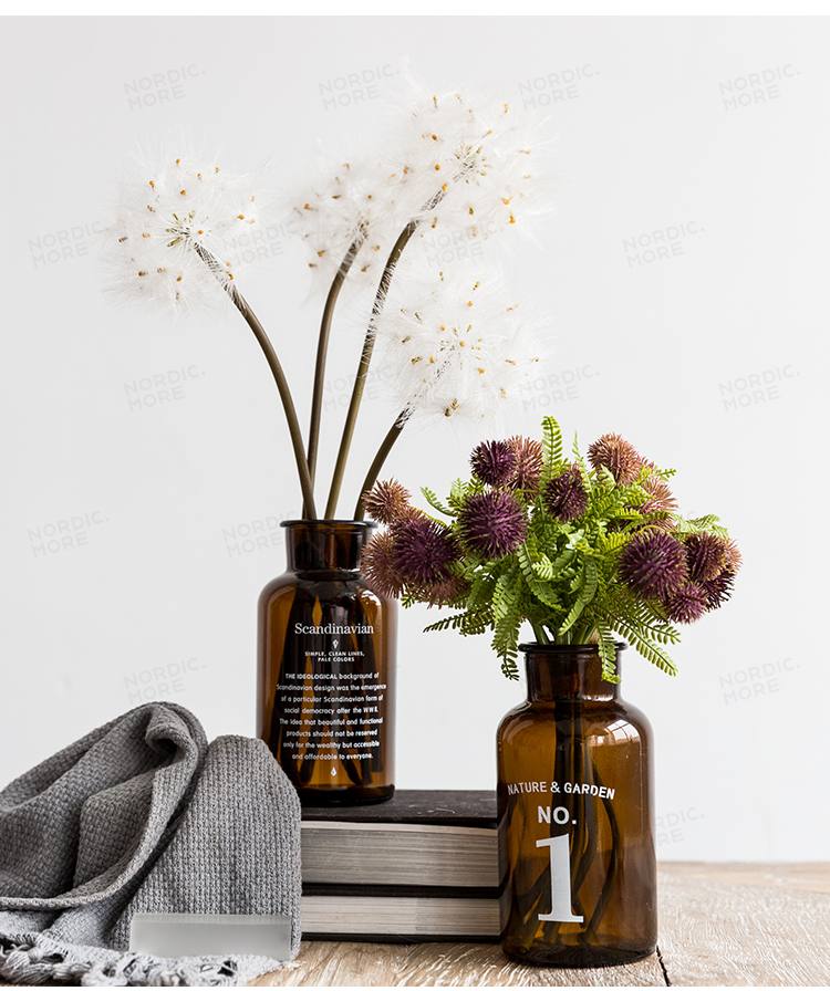 Các nước Bắc Âu Davide dược loạt bình thủy tinh nhỏ - mô hình gồm chữ và số phòng khách trang trí hoa - Trang trí nội thất dcor phòng ngủ nhỏ không giường