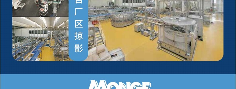 Кошки закуски 意大利monge梦吉湿粮猫罐头汤汁啫喱猫咪多种口味猫罐头80g