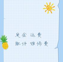 Parts Deposit Freight Repair Fee Special Photo