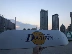 [DT spot] DOGTOWN 18FW SKATEBOARDS ván trượt ván thương hiệu riêng - Trượt băng / Trượt / Thể thao mạo hiểm nón bảo hiểm thể thao poc Trượt băng / Trượt / Thể thao mạo hiểm