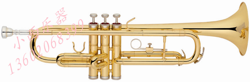 Special Band small tonality Bb Trumpet