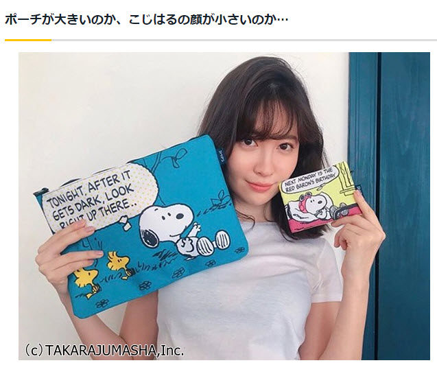 Japanese magazine appendix Portable cartoon storage bag Student convenient bag Makeup finishing change size 3-piece set