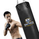 Hanging solid professional training fitness boxing punching bag