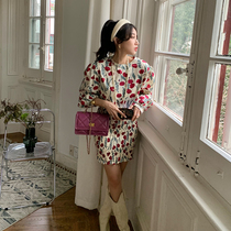 NORA floral dress design sense niche 2022 new spring and autumn bubble sleeve waist French retro skirt