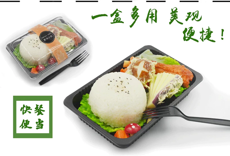Hộp ăn trưa hình chữ nhật dùng một lần Hộp câu cá trái cây Hộp thức ăn nhanh Hộp đóng gói Hộp Bento Hộp cơm trưa Hộp nhựa Takeaway - Hộp cơm điện sưởi ấm