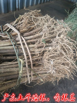 Zhengzong Wild Dodneed Public Dry Pine Huazeran 500g GuangdongTuxu Giant Zellan June Snow Rootstock