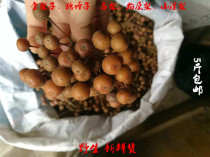 Pure wild fresh Chinese herbal medicine Pear Bird Sugar Pear Wild Pear Roe Pears Pear pear Pear Sunburn