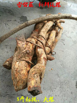 Wild Chinese herbal medicine Lei Gong Garcinia cambogia root Garcinia cambogia wood Nan snake root Yellow wax vine vegetable insect medicine Pure root fresh products