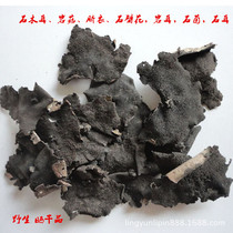 Guangxi Wild Chinese Herbal Medicine Stone Agaric Rock Mushroom Navel Stone Wallflower Earstone Fungus Stone Flower Stone Ear 500 gr