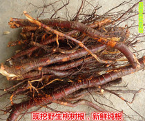 Peach tree root Wild fresh herbs Old peach tree old root hair Peach root mountain peach root skin is now dug 500 grams