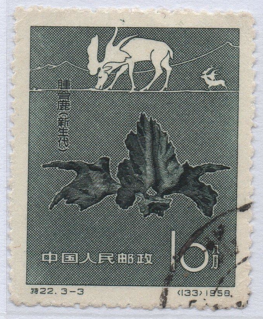 China Stamp A 1958 Special 22 Chinese Paleontological Fossil Swollen Bone Deer (Cenozoic)