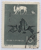 Chinese stamp A 1958 Special 22 Chinese paleontological fossil bone deer (Cenozoic)