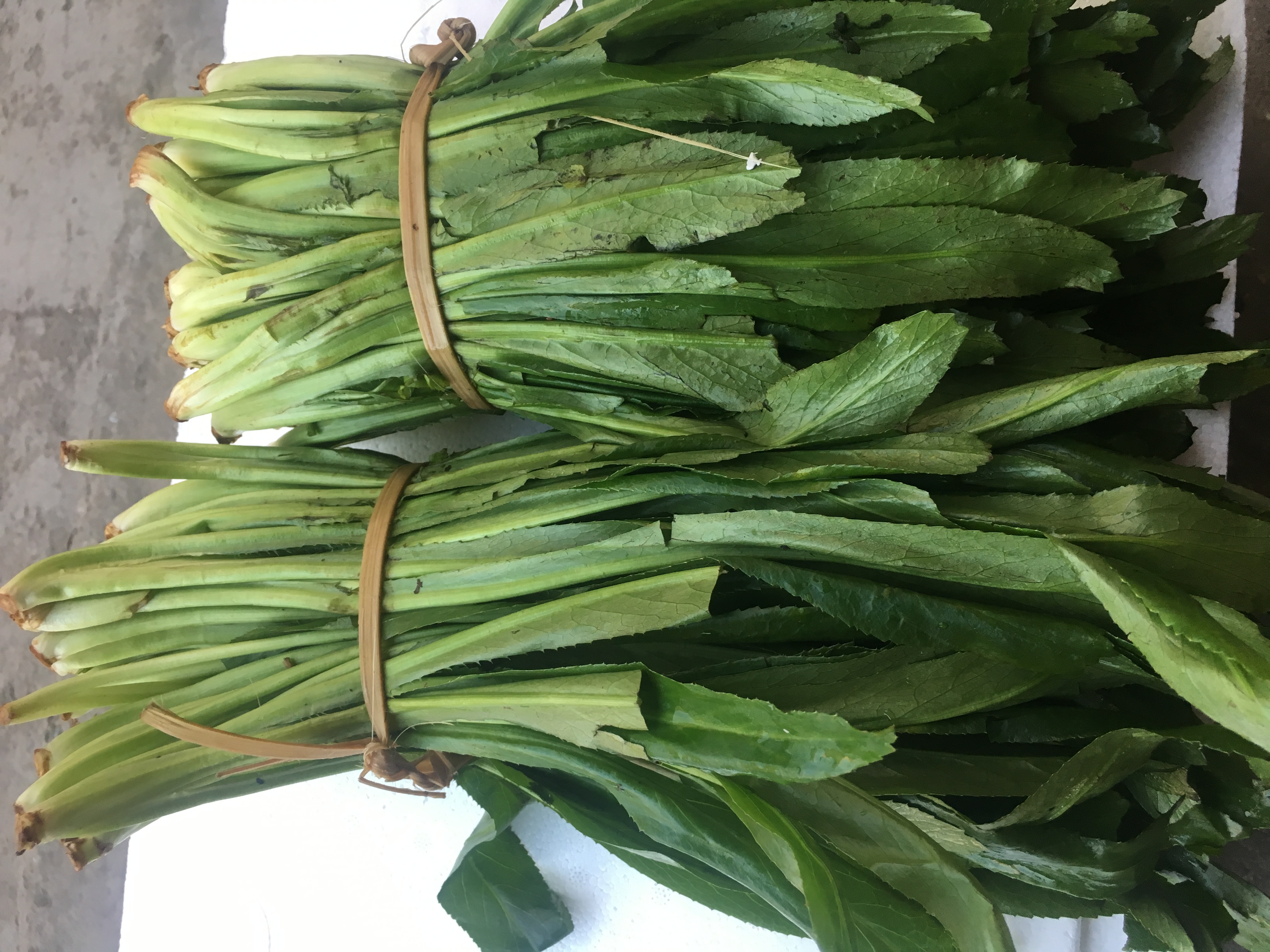 Yunnan Specii Produce Fresh Vegetables Great Parsley Great Coriander Large Coriander Dai Spice Aroma intense and old Burmese coriander 500 gr