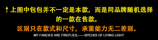 Sac homme - Ref 57113 Image 17