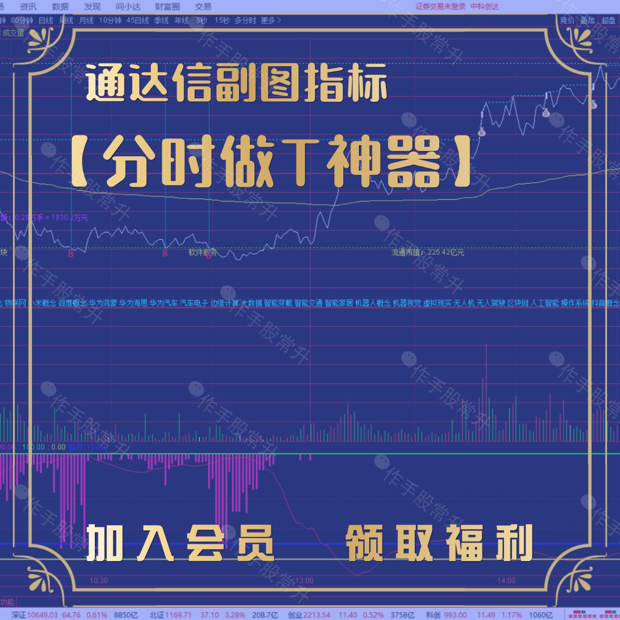 📈股票高手的秘密武器！分时做T神器真的有用吗？-财务软件配套用品-淘宝好物网