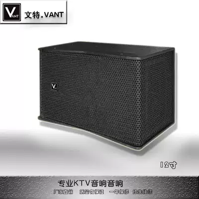 VANT professional KTV audio 12 inch speaker card bag engineering bar entertainment room karaoke KS12 1 Movie bar