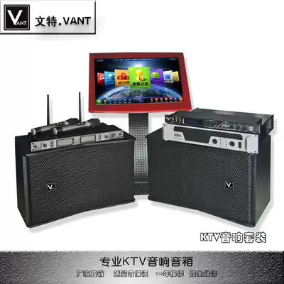 VANT audio KTV card package speaker professional karaoke song system power amplifier wireless microphone set microphone