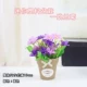 Mô phỏng hoa mini chậu hoa đồng tiền trang trí nội thất phòng khách trong nhà hoa khô hoa giả hoa nhựa với chậu - Hoa nhân tạo / Cây / Trái cây
